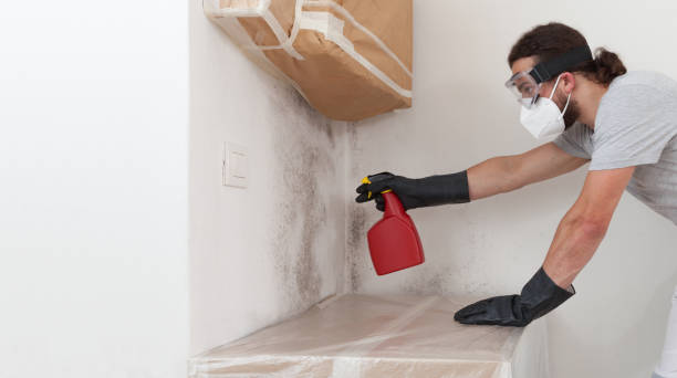 Professional Bathroom Mold Removal technician working in Saint Augustine, FL