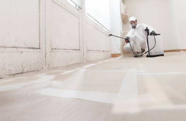 24/7 Emergency Bathroom Mold Removal experts in Saint Augustine, FL