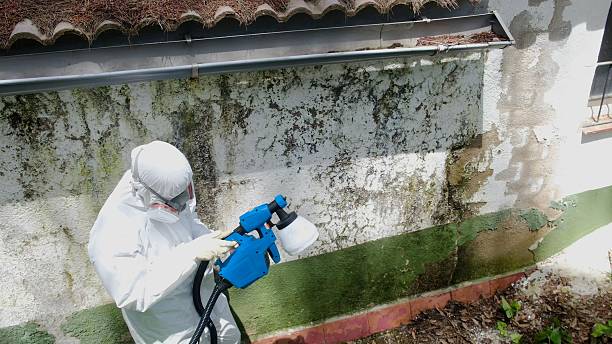 Top rated local Bathroom Mold Removal specialists in Saint Augustine, FL